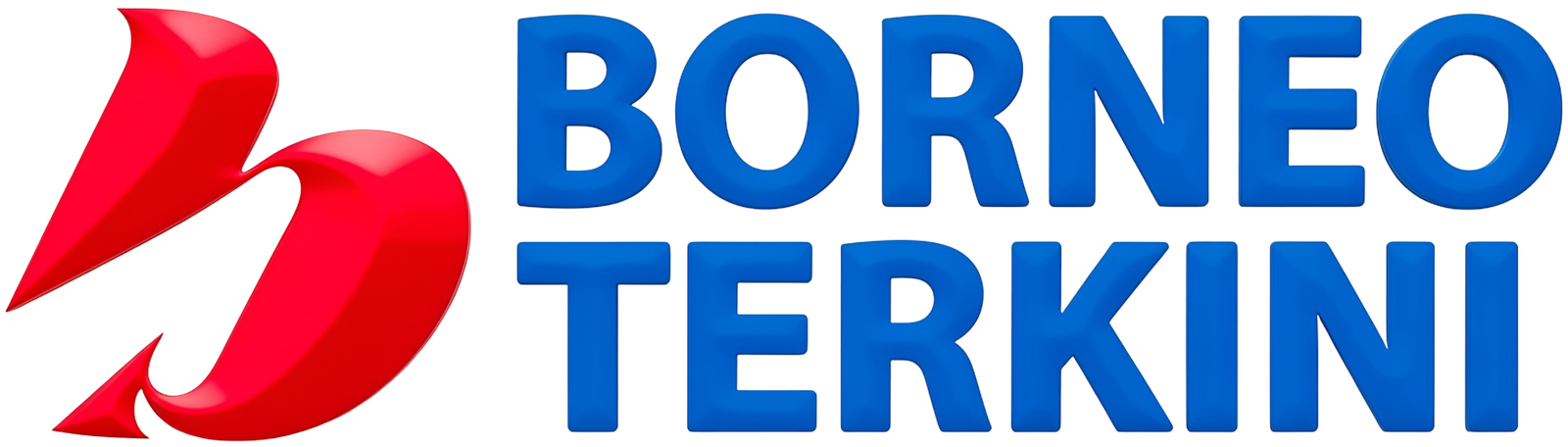 Borneoterkini.co.id logo