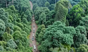 Kondisi Jln Sotek Bongan Sepanjang 105 KM Sebagian Masih Agregat dan Tanah