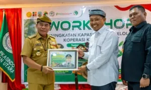 Gubernur Dorong Koperasi Sawit Rakyat Lebih Profesional