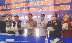 BNNP Sumsel Musnahkan 16,9 Kg Sabu Jaringan Malaysia