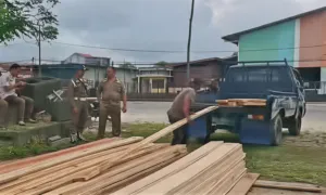 Jaga Estetika Kota, Satpol PP Bulungan Amankan Kayu Illagal di Jalan Sabanar Lama