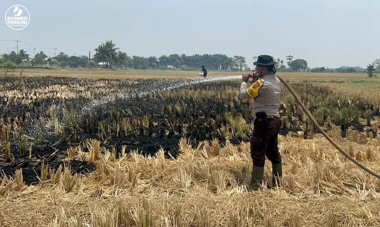 Karhutla 0,5 Hektare di Ogan Ilir Dipadamkan Tim Gabungan
