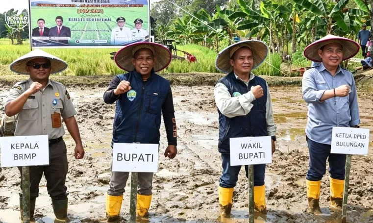 Panen Raya Masa Tanam Kedua, DPRD Bulungan Apresiasi Kerja Keras Petani