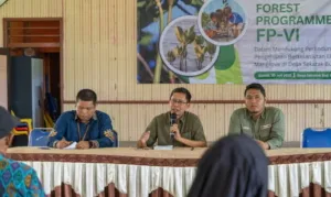 Pemprov Kaltara Dorong Ekonomi dan Konservasi Mangrove di Sekatak Buji Melalui FP VI
